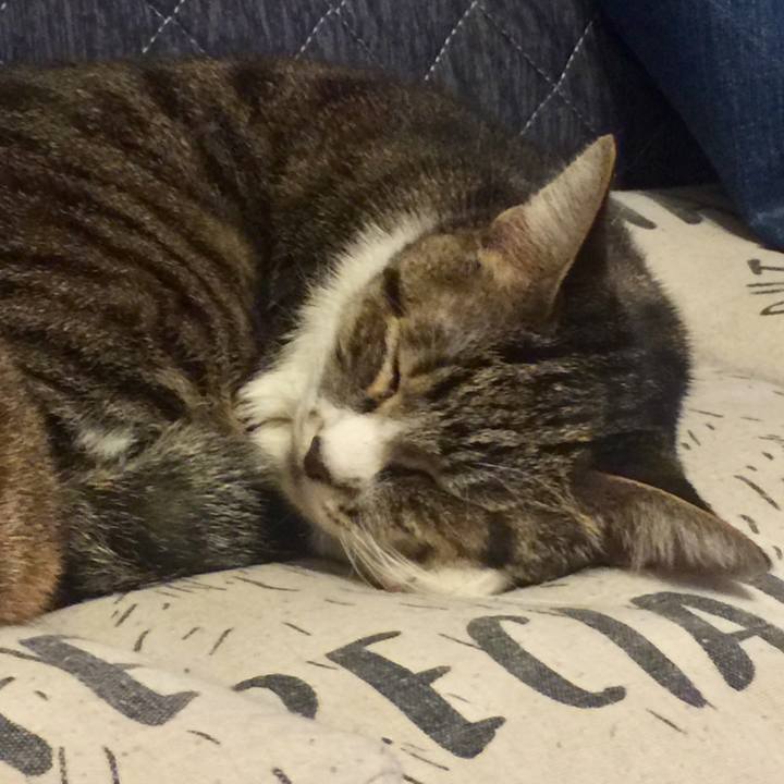 Af5cf2f4 a8af 4fc6 b50b aed8bb5c5ee7 1573647230324