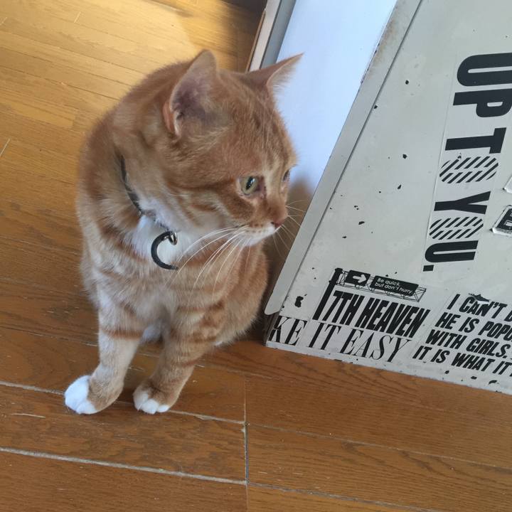 Af5d299b bcab 44d6 bb65 787ac8c33180 1554510487262