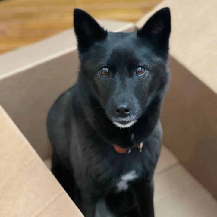 Af5d5e4f 9490 4abe a524 ef5a94680a72 1646441396308