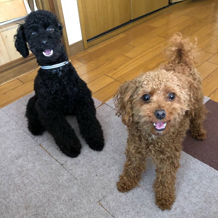 Af5d9afc 0cf7 461c a993 518e78218e3c 1525504964248