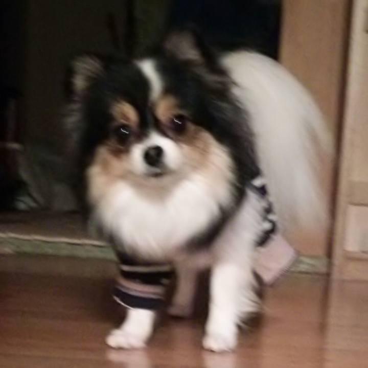 Af5e00f8 99c6 4b34 a433 f8b82b271671 1513336898161