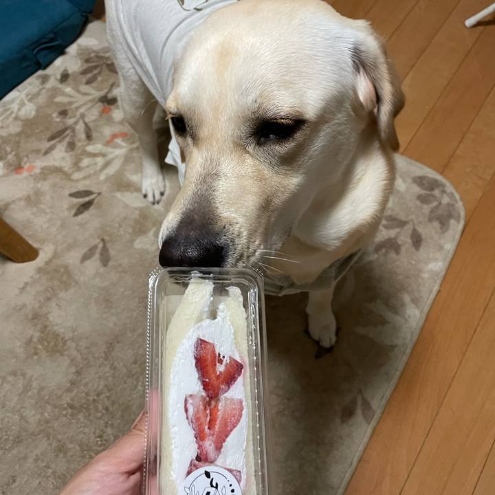 Af5e07dd 03c2 429c bf7d 645daabaa470 1636419443593