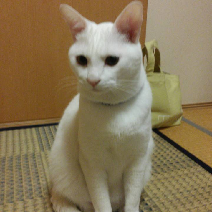 Af5e083e 7e28 4123 a202 08e44c7071c5 1525352463822