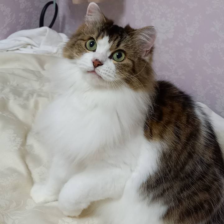 Af5e08b2 be80 4bc6 99f2 f2c1aae08707 1634305524872