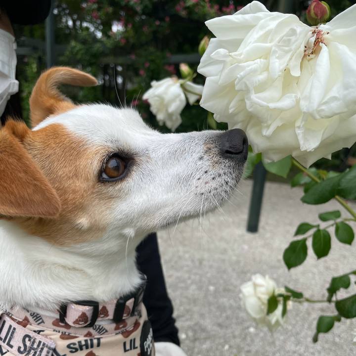 Af5e0d1f f798 492b 8890 81c2738e41e1 1620468341008