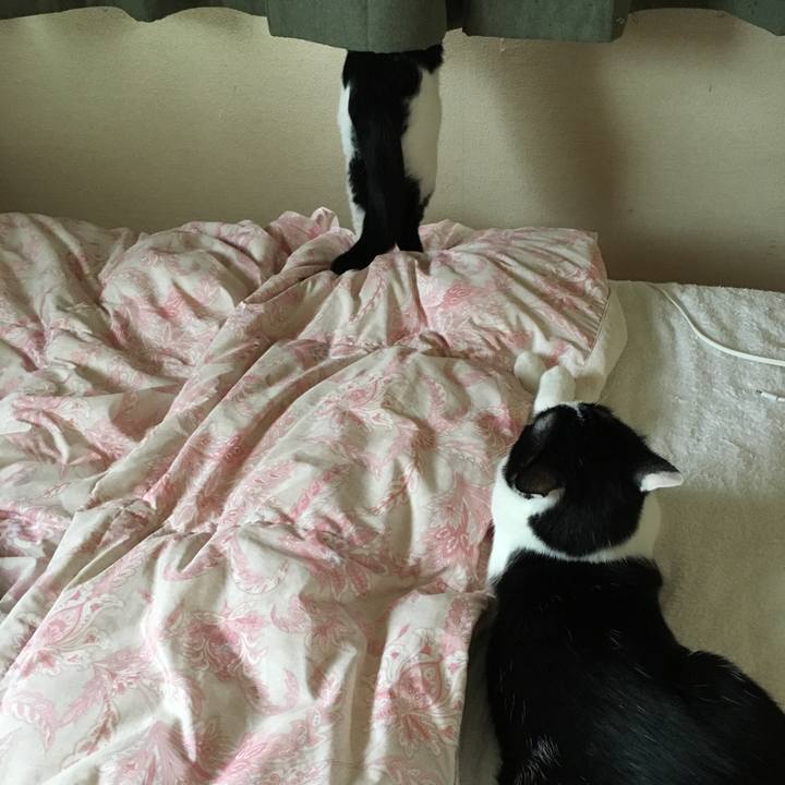 Af5e246c d4cc 4c32 9df9 386684afc971 1533489191386