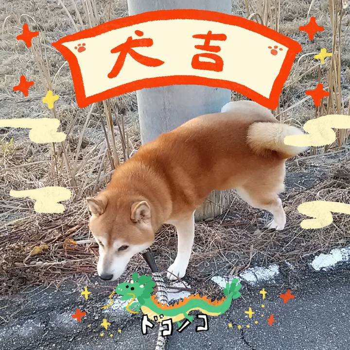 Af5e2e1f b7c3 4a1a b4b4 c20fd523d569 1704092847026