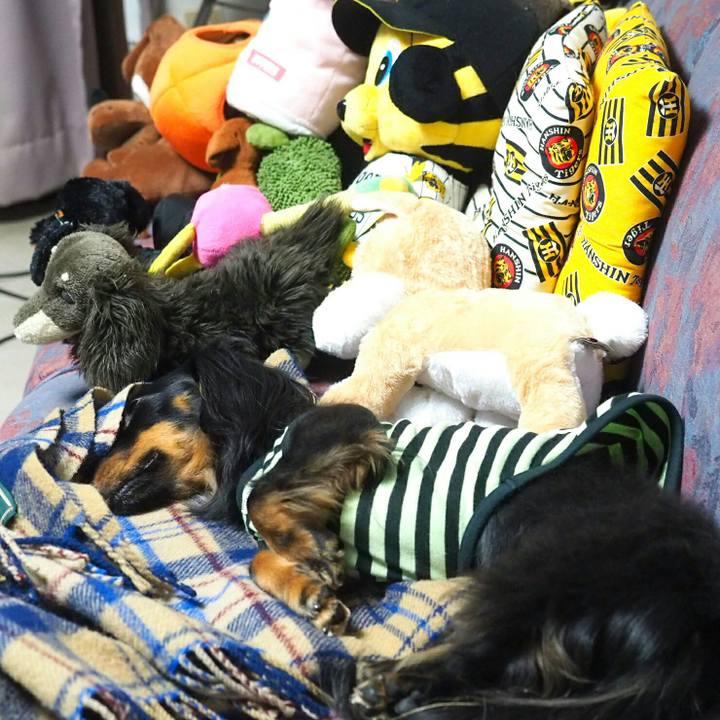 Af5e53f7 a88c 4620 ab5b a2b51add3f91 1524399751564