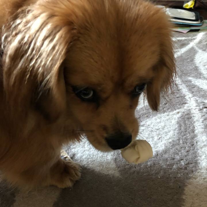 Af5e70e2 3fb7 428d 8c98 b62a44080f56 1525298509053