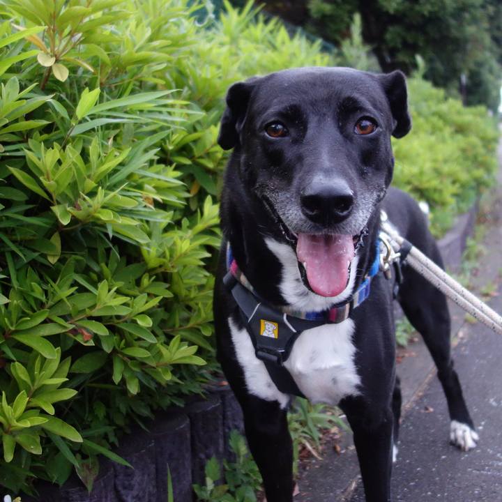 Af5e844c 17fc 4bb8 a1b5 dd3f252c5091 1654772445139