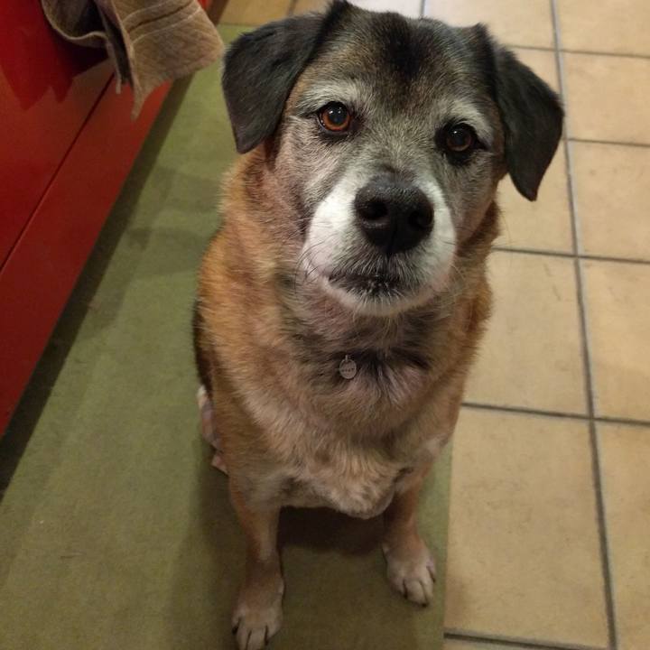 Af5e937a cb39 4870 9c7c 9a46a3005a2b 1516582898479