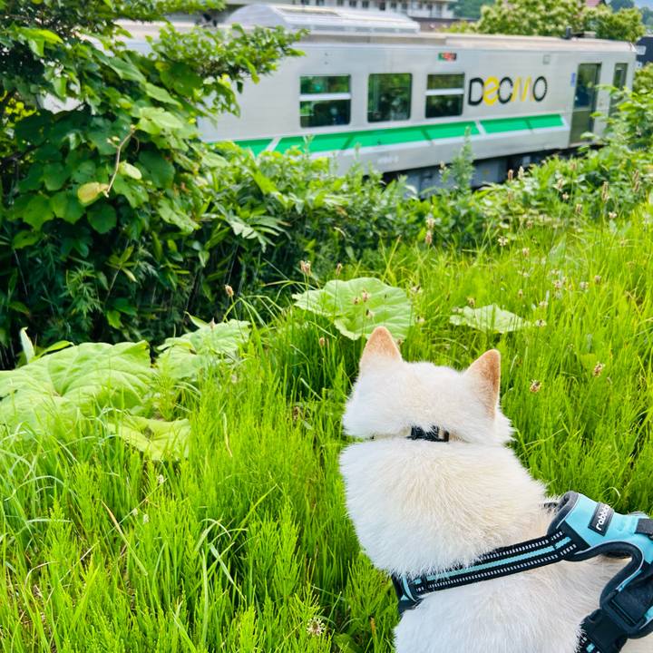 Af5eea11 9839 486f b213 c4f407622097 1687901800043