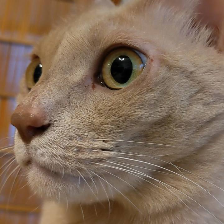 Af5efdb6 82e6 4789 b9f5 a88ef929a723 1760742729477