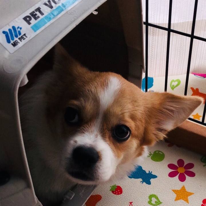 Af5f4ae2 8221 4315 80f2 5d6f3e055c74 1562386563220