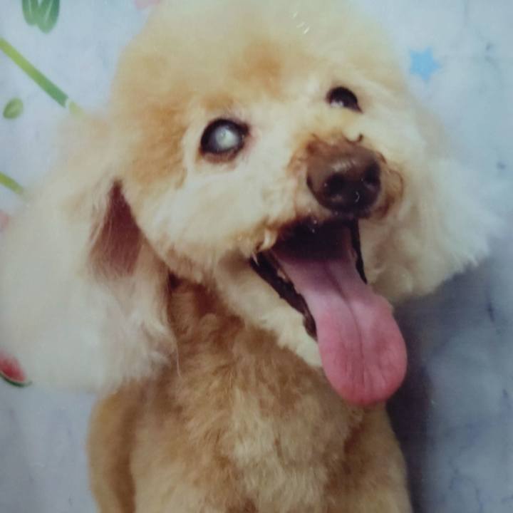 Af5f6b77 ce7f 4677 ac55 158740d6ae2f 1689601292521