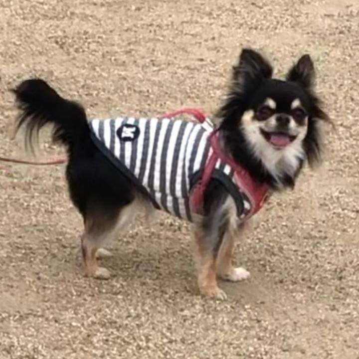 Af5f8792 fc1b 44ae 886d 2d01938a93bc 1586671863048