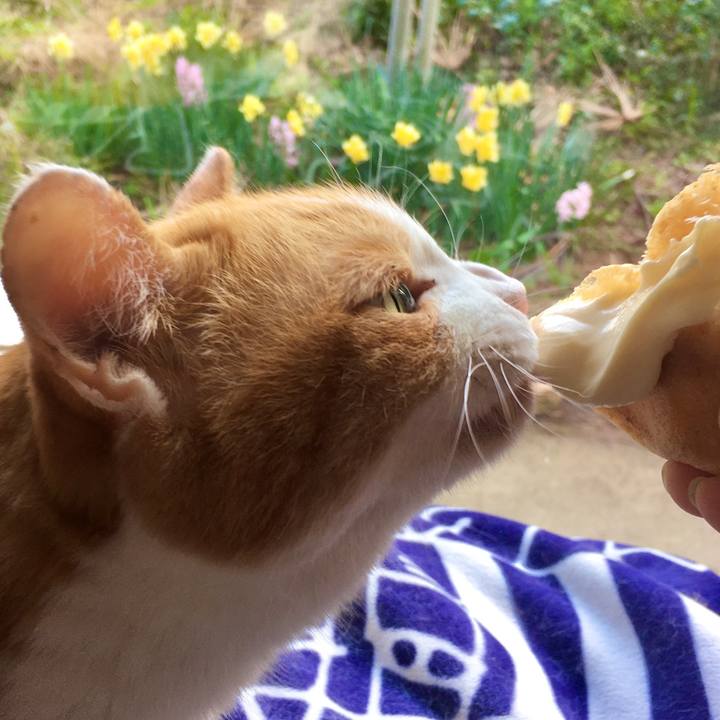 Af5f8ab8 21a6 4c4a 9119 103608757afe 1586327085883