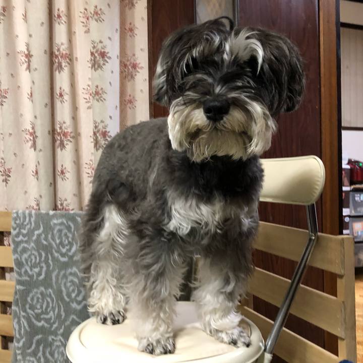 Af5faf42 2c92 4e69 8285 84321fc46805 1516366927229