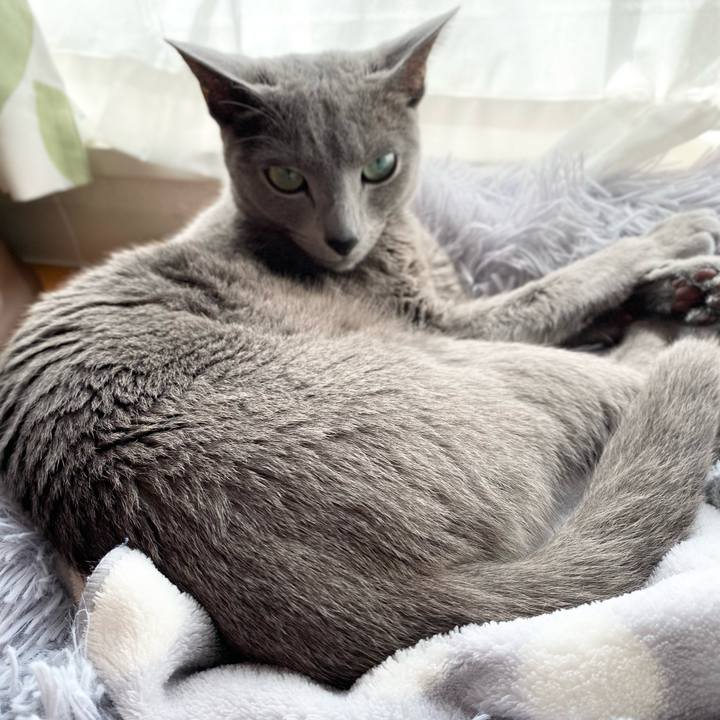 Af5fcd06 4331 45bf 86cb 02d7968dbe06 1680131162166