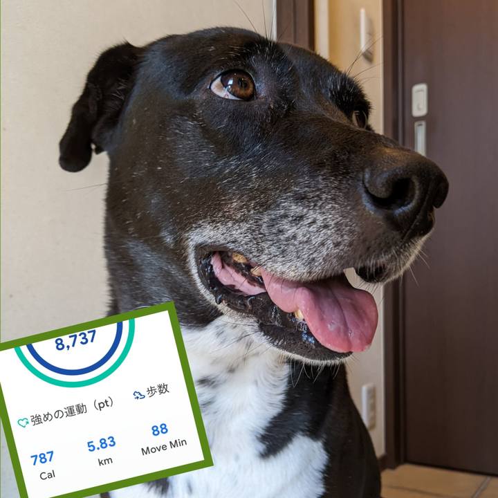 Af5fd0c5 9b77 44aa 9540 a8efcb0dcfd7 1699060017178