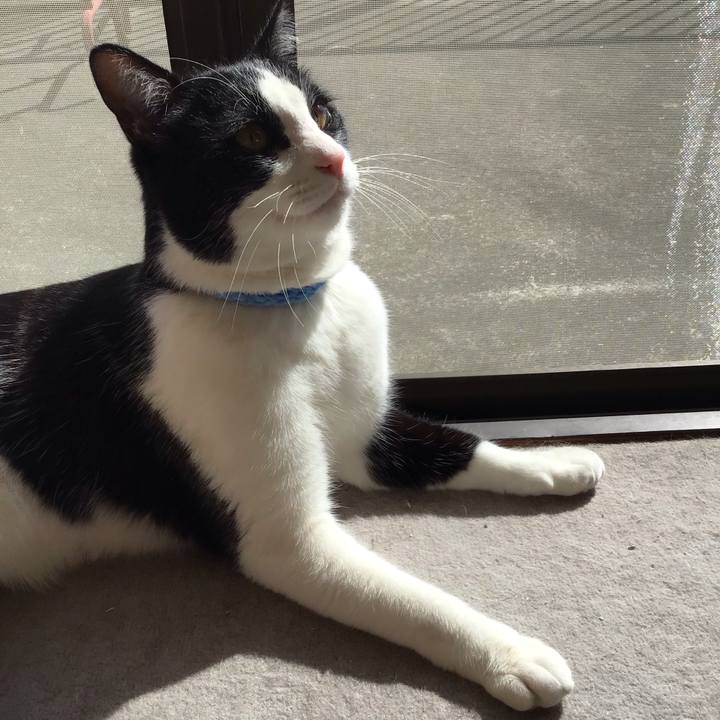 Af5fe6bd d833 4304 a681 8f713af54ac7 1678085917937