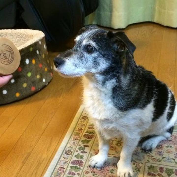 Af60640d 5034 4943 b4df 450913ce20bf 1558423918179