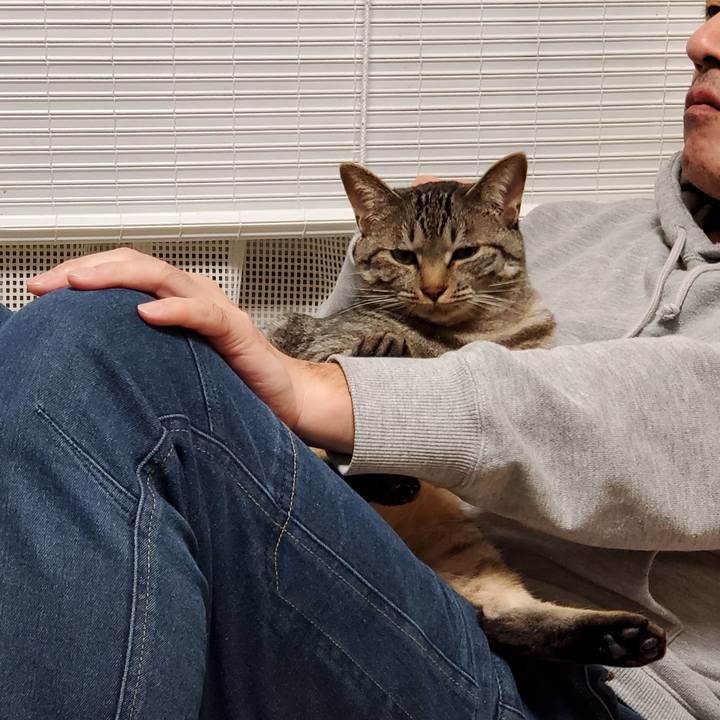 Af6074f4 ebc8 419e a228 39f750789d4d 1702809645318