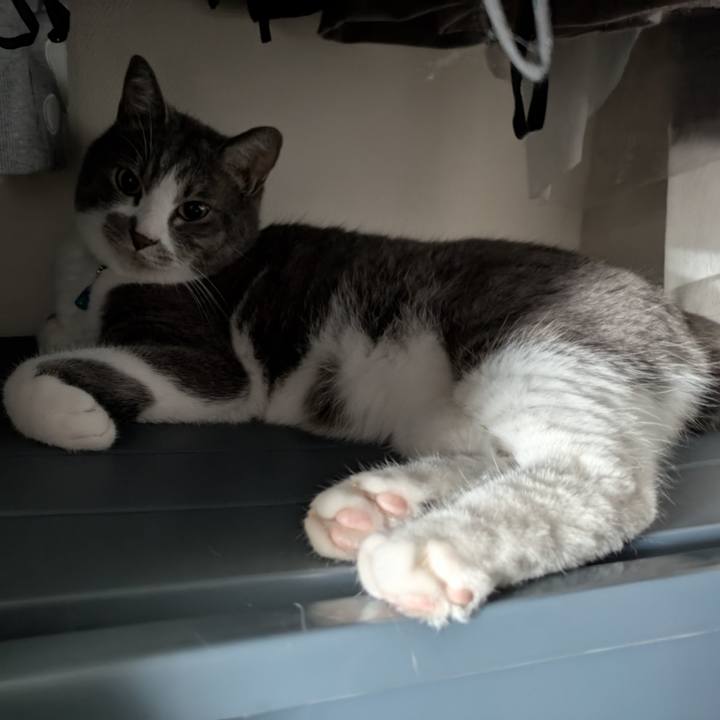 Af6085e9 1574 44c2 babb e9d44a82f15c 1751333160276