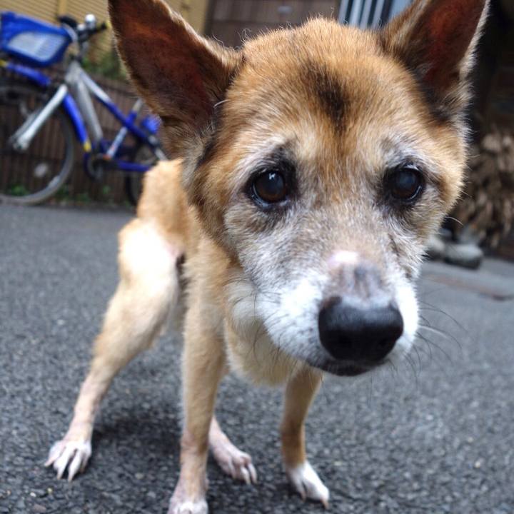 Af60921c 79b7 4b85 9d31 1f2671db5383 1567637421432