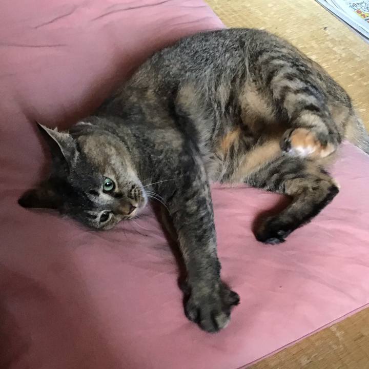 Af60f1d4 5137 4302 9f50 e901ed6b204d 1690101335784