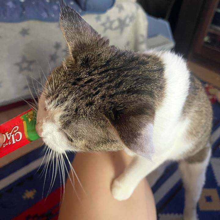 Af60f435 f3dc 4fc4 9067 4612ffa419f7 1629361097973