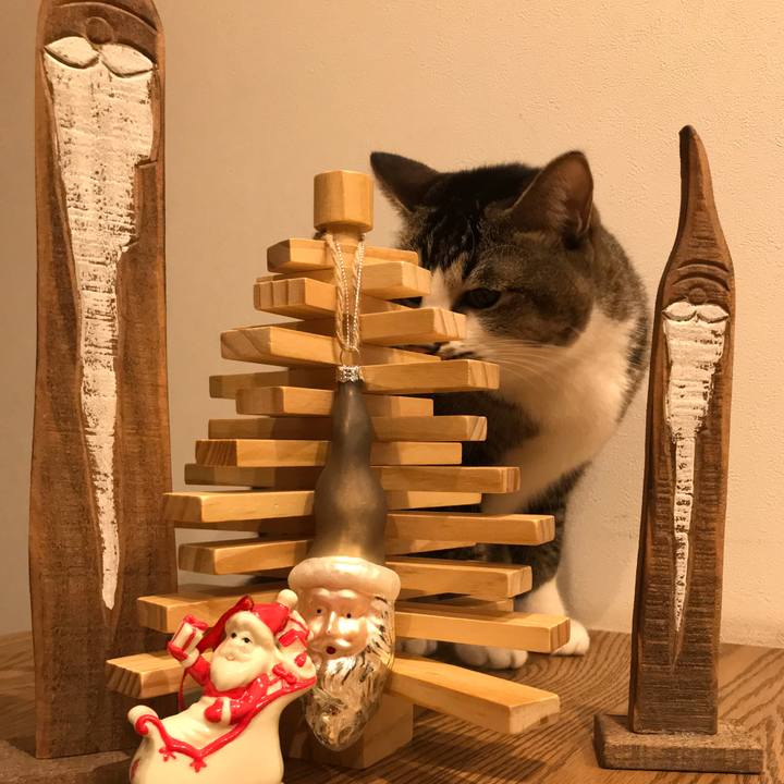 Af611218 4e0e 4ea5 98a8 78fc66585117 1513859639467