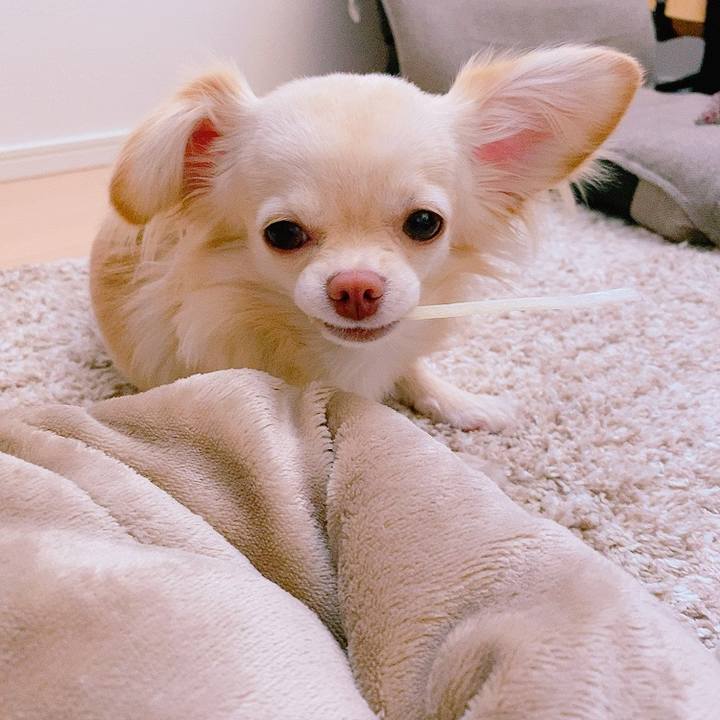 Af613ad3 3249 46a5 90e4 cf7c9363c337 1622531835260