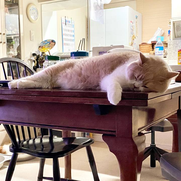 Af615cc4 9de8 436b 96d9 36230aae3af1 1661273096604