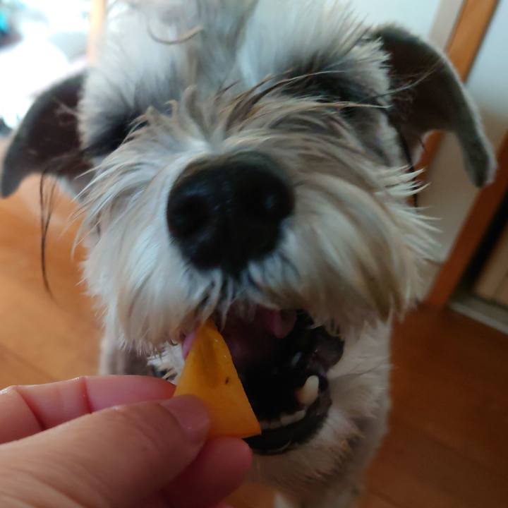 Af618d30 c4bd 46a8 a833 c541a83d0a88 1766617624319