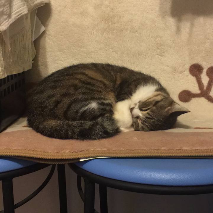 Af61c63f 6f86 49a3 85f3 0d98d7f5e422 1571364059025