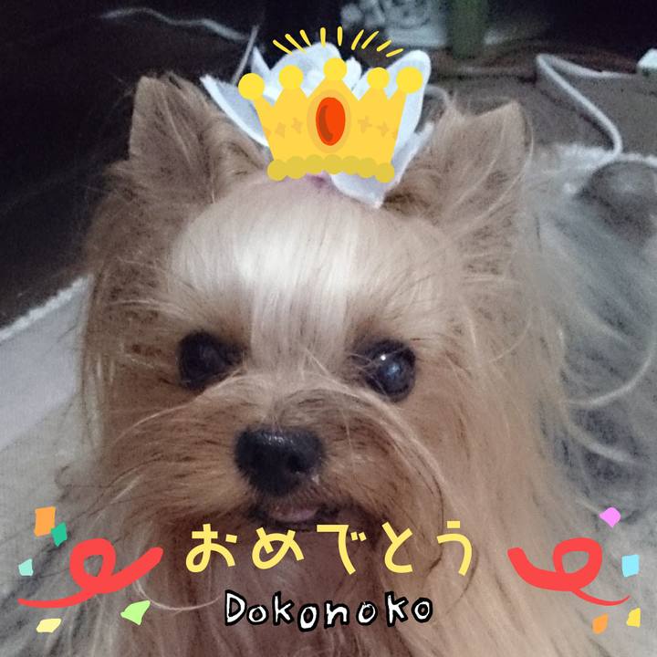 Af61ddd3 7fc4 4da1 a421 b8e697f9ffd6 1685937721616