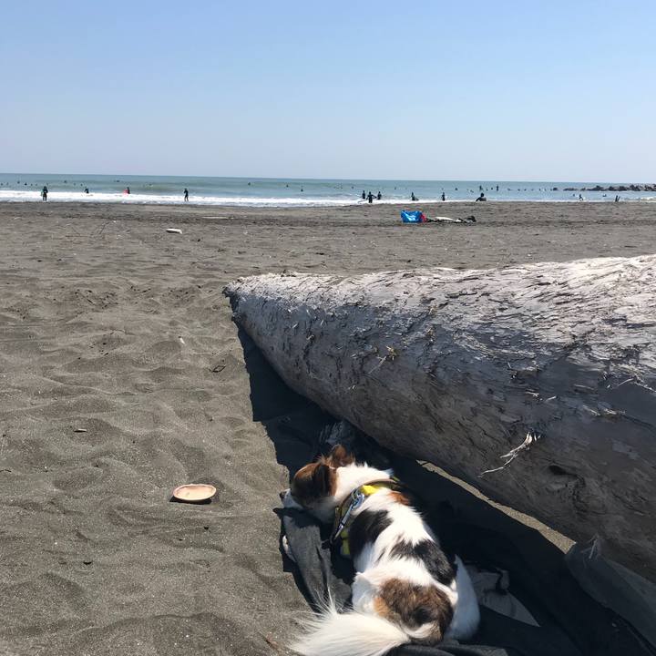 Af6203ae d0f5 4b65 b50e ada579a139f5 1525482713644