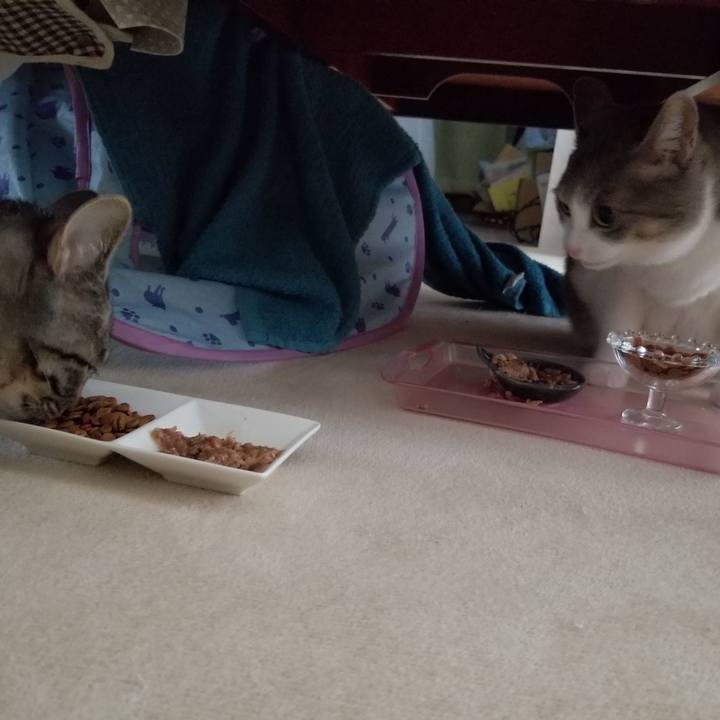 Af6218c5 da58 4737 bad5 aa2205a6f8b6 1673707056554