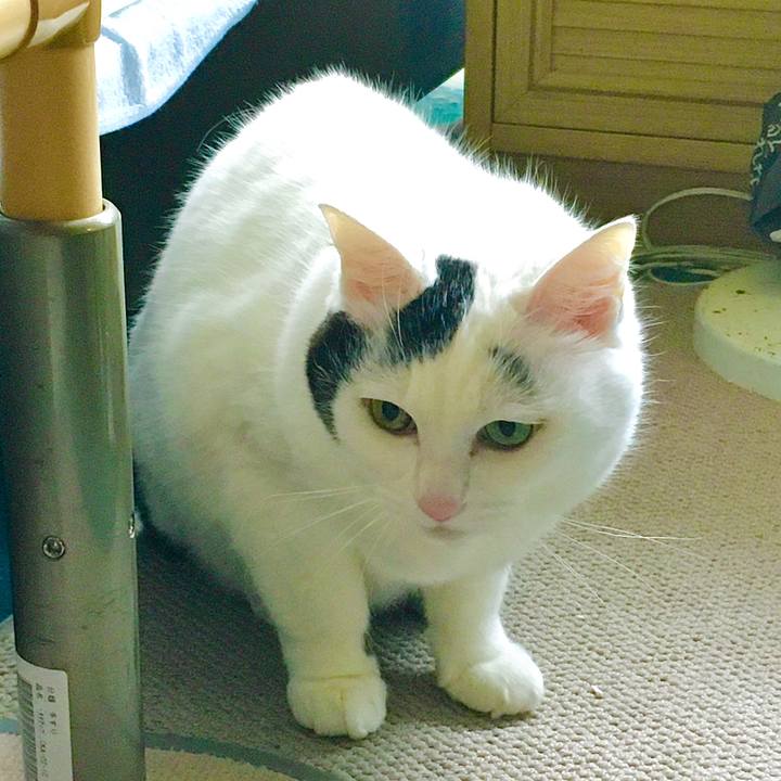 Af625f37 c60d 4d21 859e 93d9a6f1930a 1627881591844