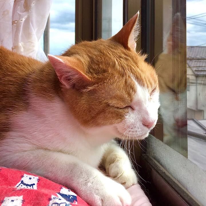 Af626522 570a 4e4d a3f9 ef6b71cf3d5f 1601275308086