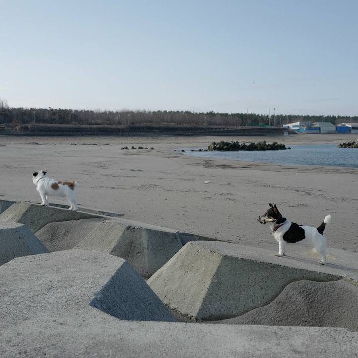 Af62812c a674 4185 821f 9294b3ead023 1521864179462