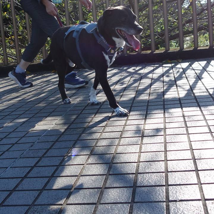 Af62d913 4520 414c 819c 36282966495b 1725239430033