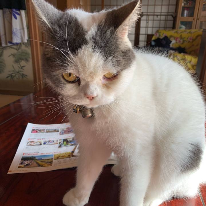 Af62dffe 43cc 4b1b 8b87 162924b5b454 1641003431613