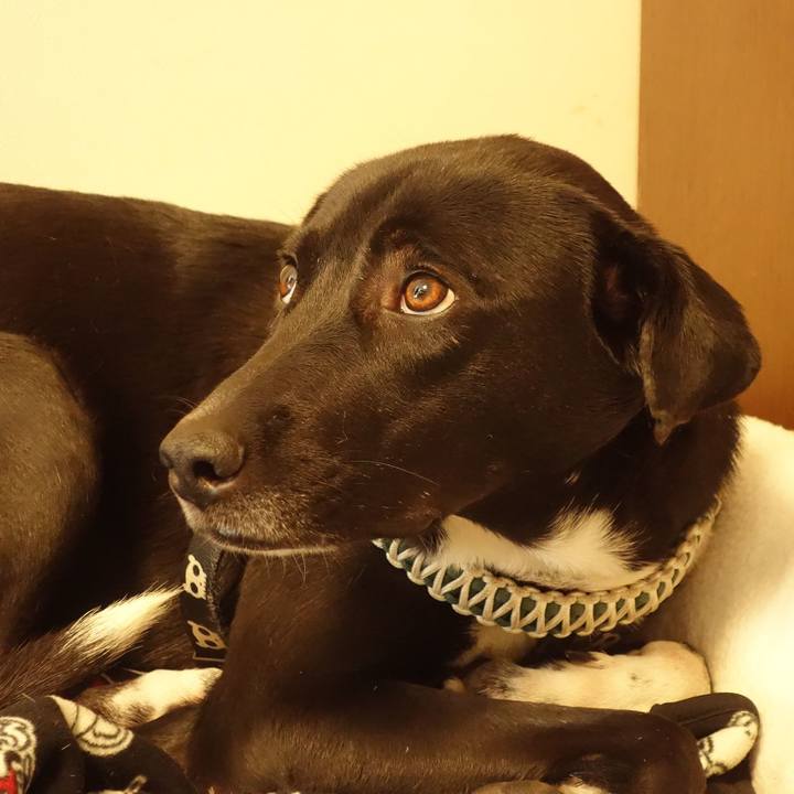 Af62ed51 0083 4538 b045 7d321ed54e18 1581342620072