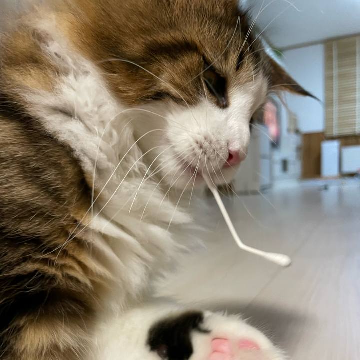 Af62f446 f85b 4159 8dba 728100d2731b 1638019950052