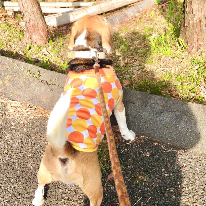 Af631215 2dd9 484e a886 bdf5143fc465 1774784074841