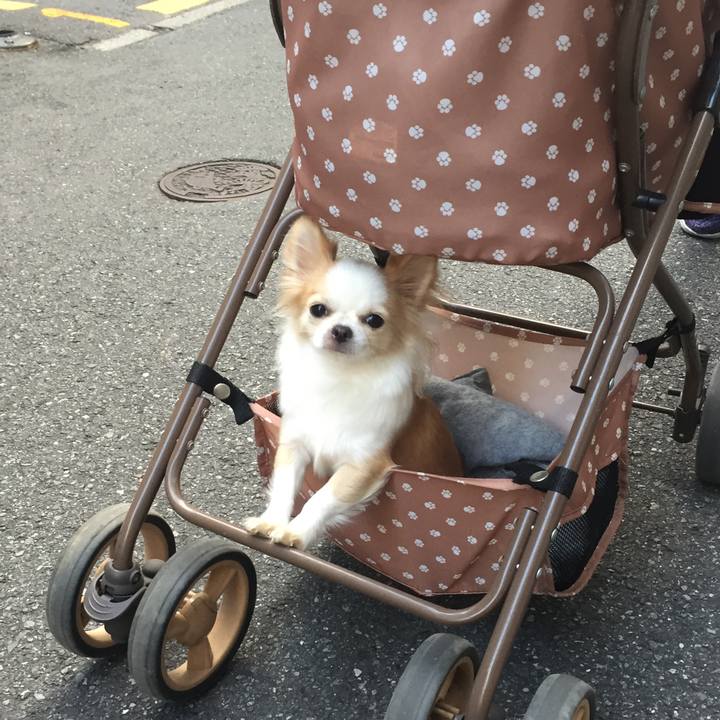 Af6320bb 00ef 49d8 88a1 3c0965895260 1542438048020