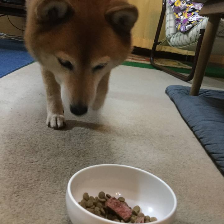 Af63440c 719e 430c 9ebb 2b60a988bf37 1592777720326