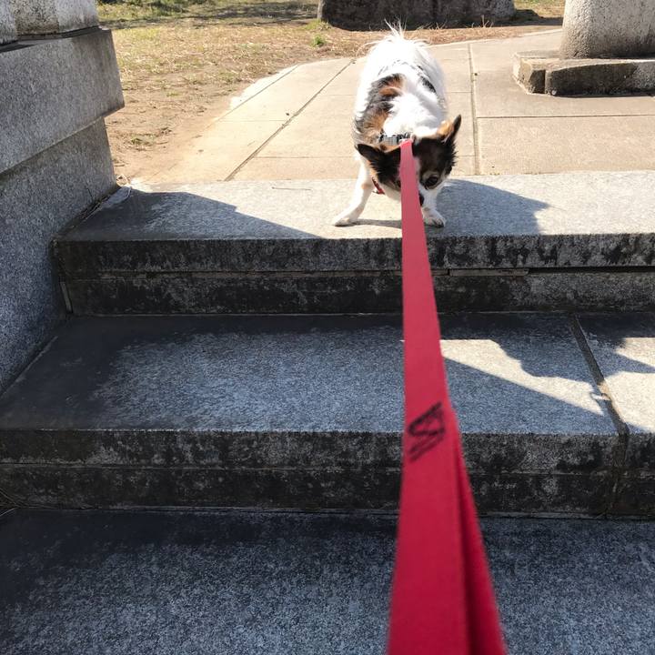 Af635ed7 e4b9 43a2 9d2c 3aecf0e4e7d3 1582250336940